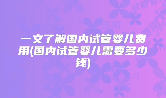 一文了解国内试管婴儿费用(国内试管婴儿需要多少钱)