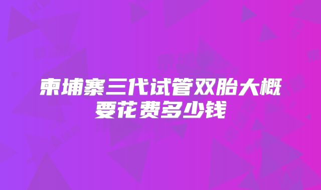 柬埔寨三代试管双胎大概要花费多少钱