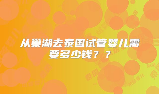 从巢湖去泰国试管婴儿需要多少钱？？