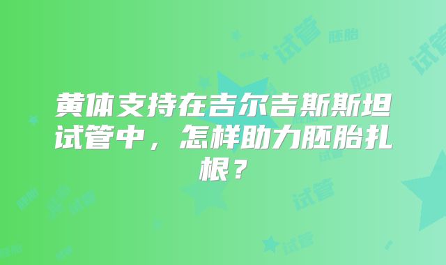 黄体支持在吉尔吉斯斯坦试管中，怎样助力胚胎扎根？