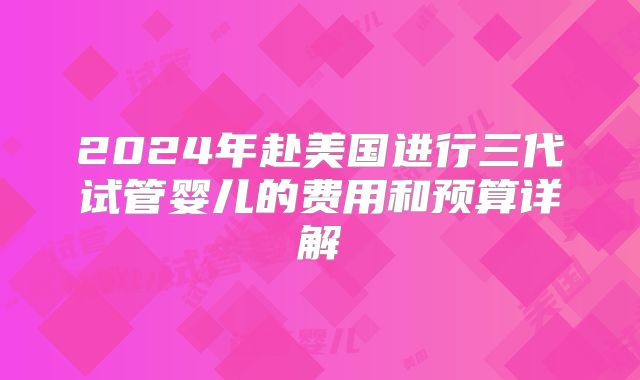 2024年赴美国进行三代试管婴儿的费用和预算详解