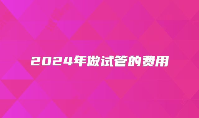 2024年做试管的费用