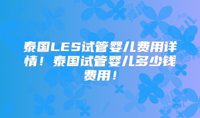 泰国LES试管婴儿费用详情!泰国试管婴儿多少钱费用!