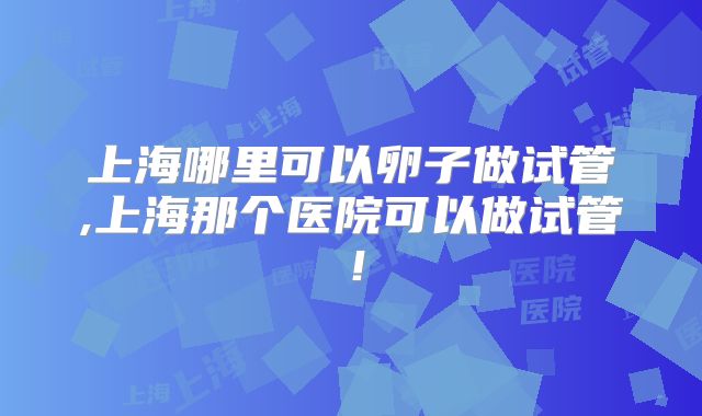 上海哪里可以卵子做试管,上海那个医院可以做试管!