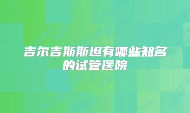 吉尔吉斯斯坦有哪些知名的试管医院