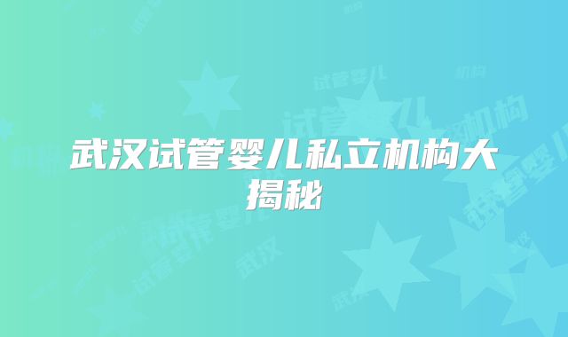 武汉试管婴儿私立机构大揭秘