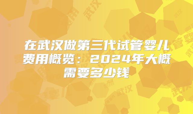 在武汉做第三代试管婴儿费用概览：2024年大概需要多少钱