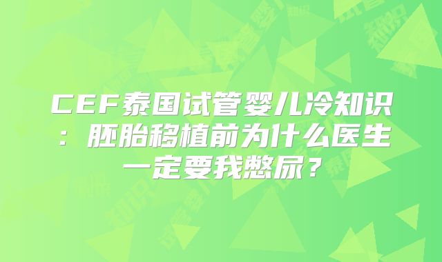 CEF泰国试管婴儿冷知识：胚胎移植前为什么医生一定要我憋尿？