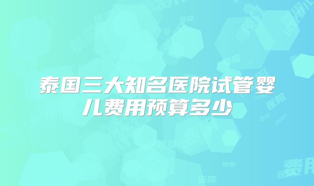 泰国三大知名医院试管婴儿费用预算多少