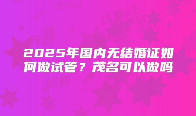 2025年国内无结婚证如何做试管?茂名可以做吗