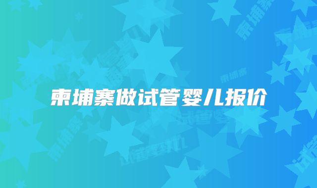 柬埔寨做试管婴儿报价