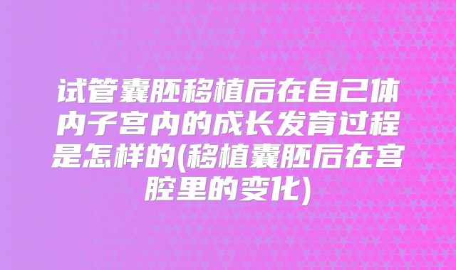 试管囊胚移植后在自己体内子宫内的成长发育过程是怎样的(移植囊胚后在宫腔里的变化)
