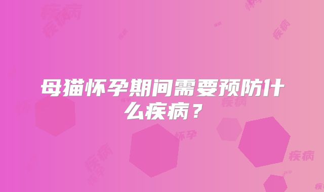 母猫怀孕期间需要预防什么疾病?
