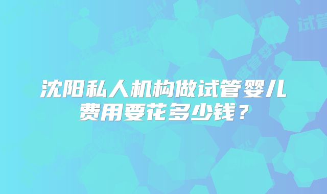 沈阳私人机构做试管婴儿费用要花多少钱？