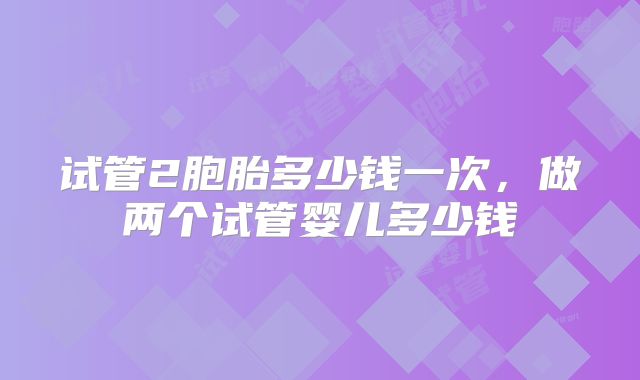 试管2胞胎多少钱一次,做两个试管婴儿多少钱