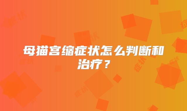 母猫宫缩症状怎么判断和治疗?