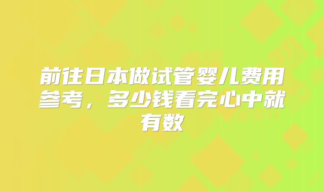 前往日本做试管婴儿费用参考，多少钱看完心中就有数