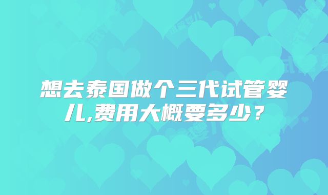 想去泰国做个三代试管婴儿,费用大概要多少？
