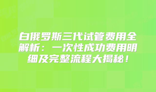 白俄罗斯三代试管费用全解析：一次性成功费用明细及完整流程大揭秘！