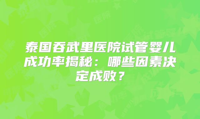 泰国吞武里医院试管婴儿成功率揭秘:哪些因素决定成败?