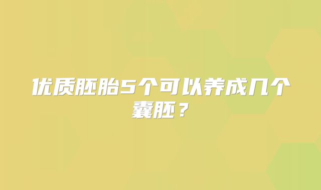优质胚胎5个可以养成几个囊胚？