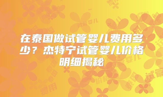 在泰国做试管婴儿费用多少？杰特宁试管婴儿价格明细揭秘