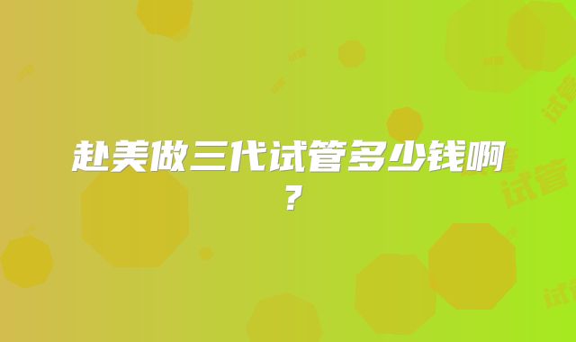赴美做三代试管多少钱啊？