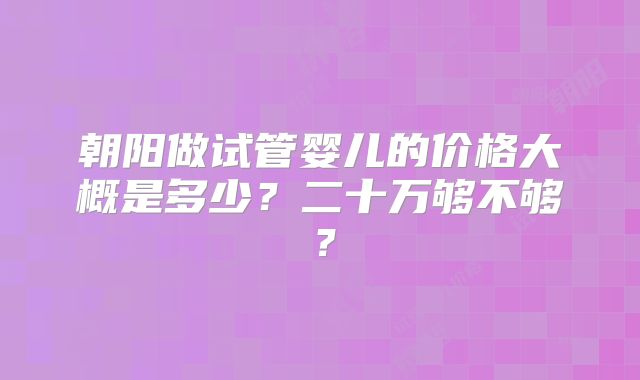 朝阳做试管婴儿的价格大概是多少？二十万够不够？
