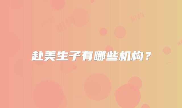 赴美生子有哪些机构？