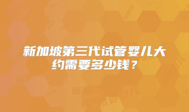 新加坡第三代试管婴儿大约需要多少钱？