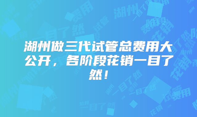 湖州做三代试管总费用大公开，各阶段花销一目了然！