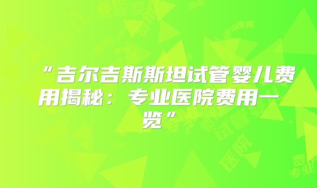 “吉尔吉斯斯坦试管婴儿费用揭秘：专业医院费用一览”