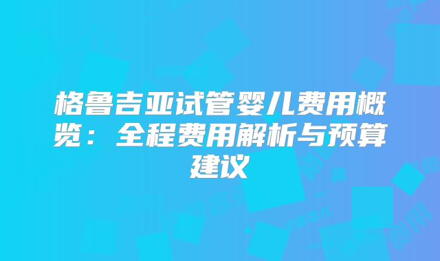 格鲁吉亚试管婴儿费用概览：全程费用解析与预算建议