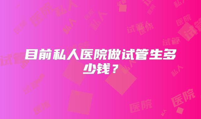 目前私人医院做试管生多少钱？