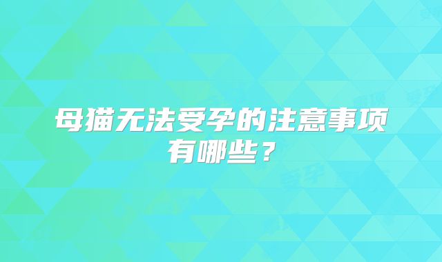 母猫无法受孕的注意事项有哪些?