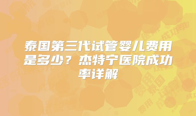 泰国第三代试管婴儿费用是多少?杰特宁医院成功率详解