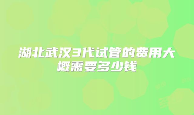 湖北武汉3代试管的费用大概需要多少钱