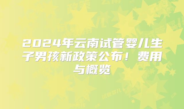 2024年云南试管婴儿生子男孩新政策公布!费用与概览