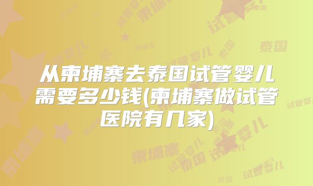 从柬埔寨去泰国试管婴儿需要多少钱(柬埔寨做试管医院有几家)