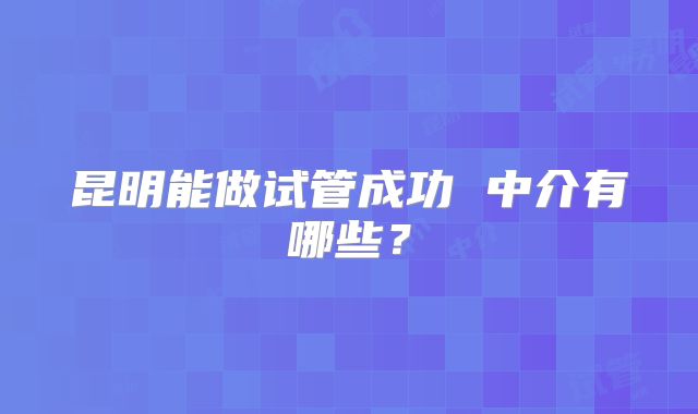 昆明能做试管成功 中介有哪些?