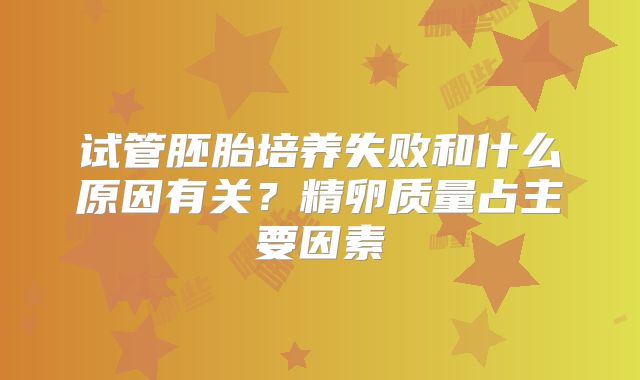 试管胚胎培养失败和什么原因有关？精卵质量占主要因素