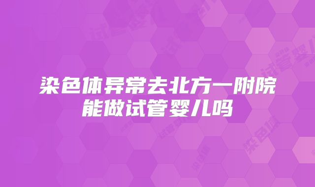 染色体异常去北方一附院能做试管婴儿吗