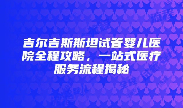 吉尔吉斯斯坦试管婴儿医院全程攻略，一站式医疗服务流程揭秘