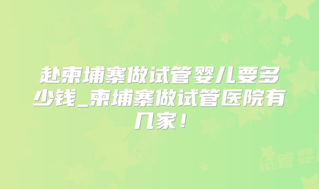 赴柬埔寨做试管婴儿要多少钱_柬埔寨做试管医院有几家！