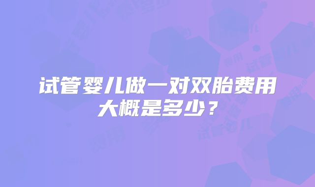 试管婴儿做一对双胎费用大概是多少?