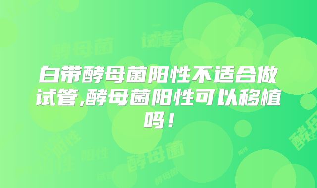 白带酵母菌阳性不适合做试管,酵母菌阳性可以移植吗!