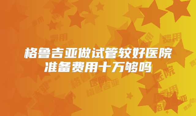 格鲁吉亚做试管较好医院准备费用十万够吗