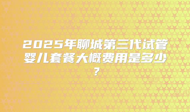 2025年聊城第三代试管婴儿套餐大概费用是多少？
