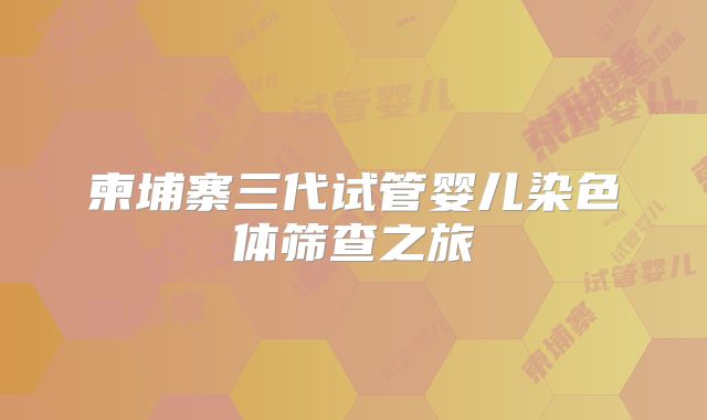 柬埔寨三代试管婴儿染色体筛查之旅