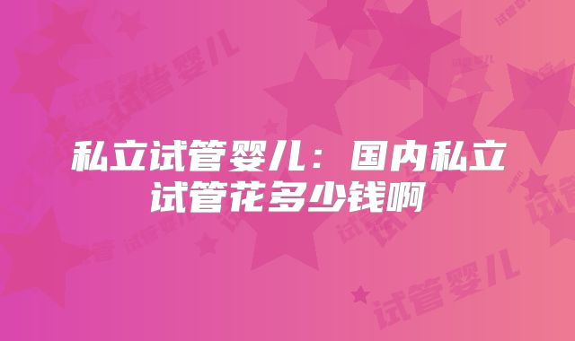 私立试管婴儿:国内私立试管花多少钱啊